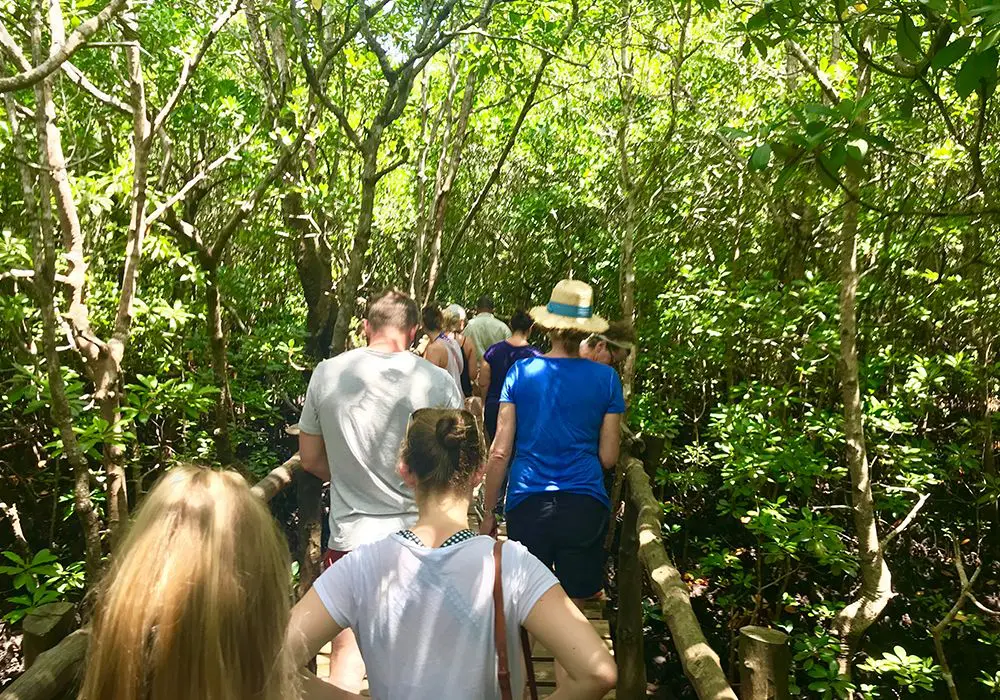 Jozani-Forest-tour-with-guide-compressed
